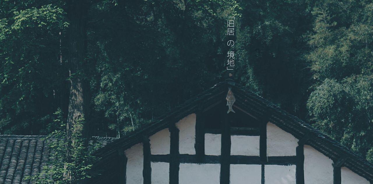 救援菠萝舞者