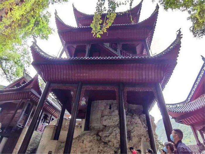 燃烧吧大脑装瓶子游戏