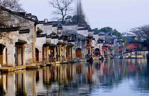 养宠物家庭适合哪种瓷砖？游戏画面